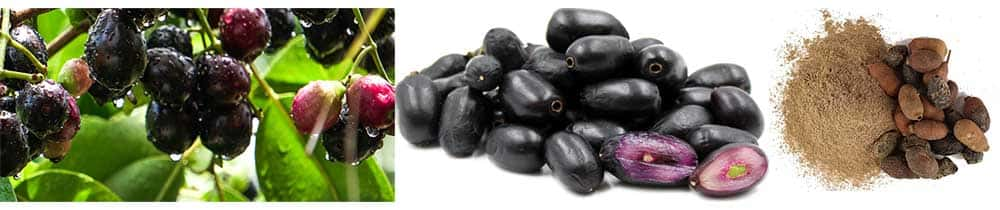 jamun, črna sliva, superfood