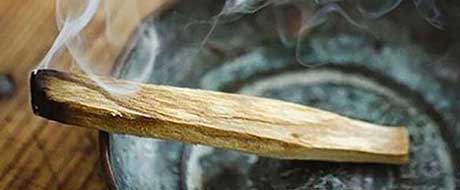 Palo Santo oder heiliges Holz - Stock